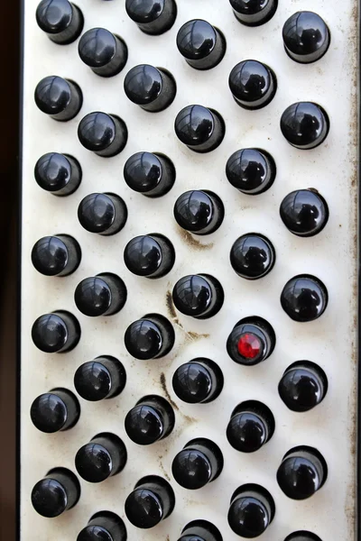 Klávesnice akordeon — Stock fotografie