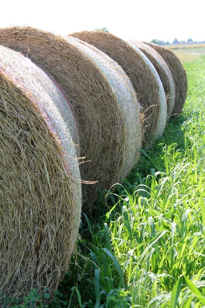 Heno en el campo — Foto de Stock