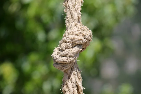 Вузол на мотузці — стокове фото