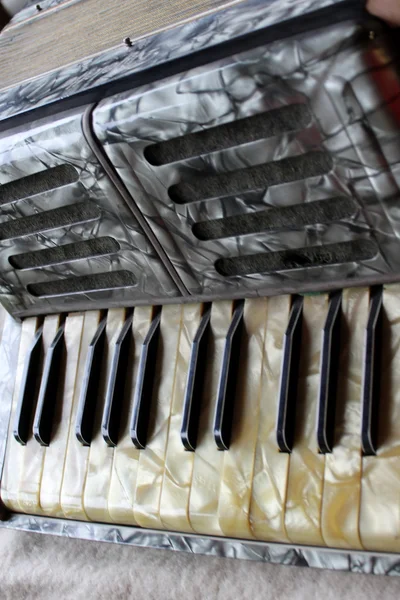 Vecchia tastiera a fisarmonica — Foto Stock