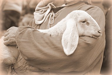 Lamb with shepherd clipart