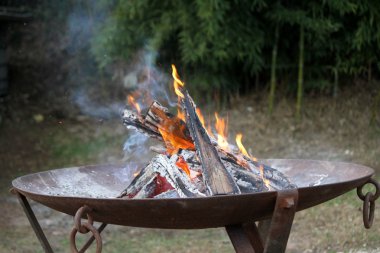 Brezilya 'da yangın.
