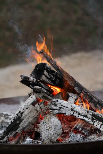 Brann i skogen – stockfoto