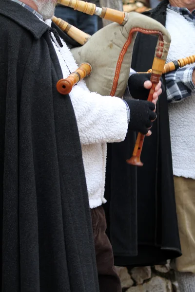 Piper