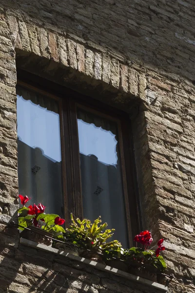 Old window — Stock Photo, Image