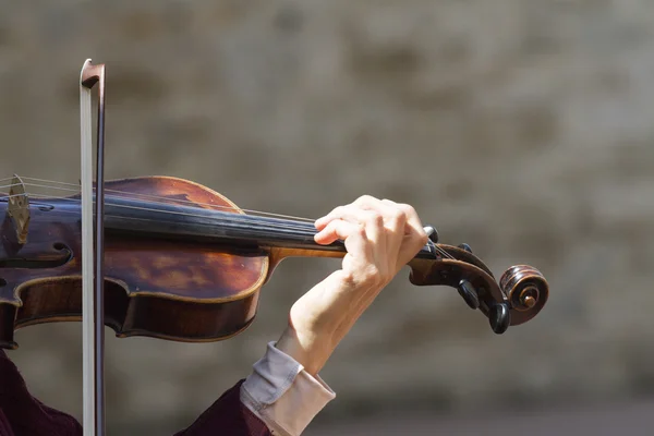 keman çalıyor