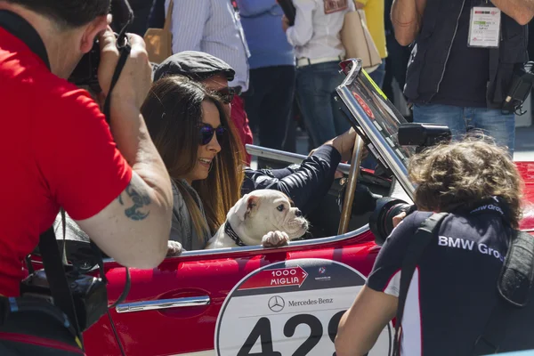 Mille miglia gara di auto d'epoca 15 maggio 2014 — Foto Stock