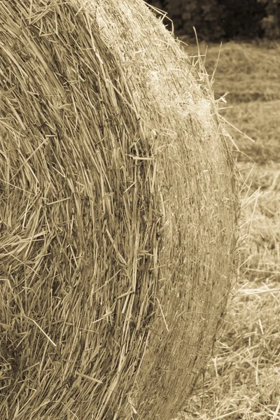 Heuballen auf dem Feld — Stockfoto