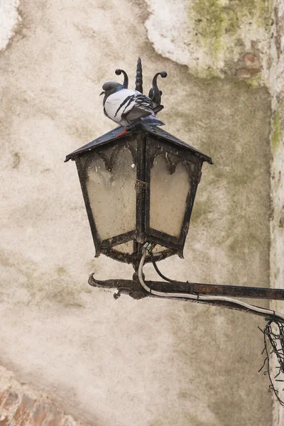 Old lamp — Stock Photo, Image