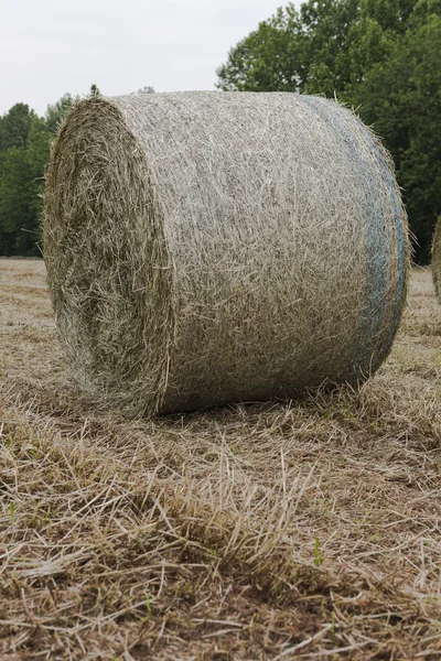 田里的一捆干草 — 图库照片