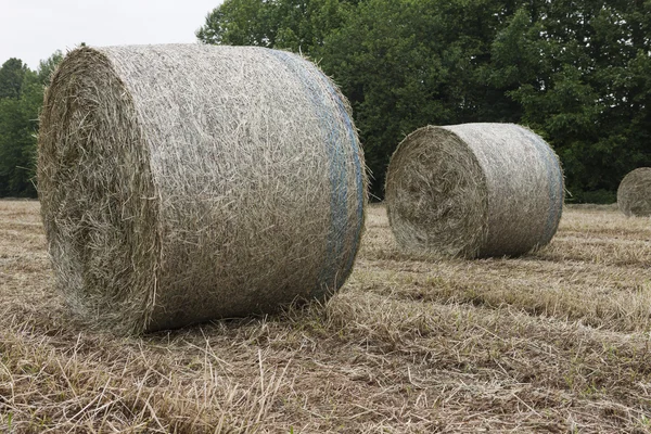 Fardos de heno en el campo — Foto de Stock