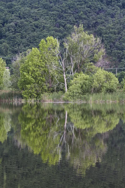 Пейзажное озеро — стоковое фото