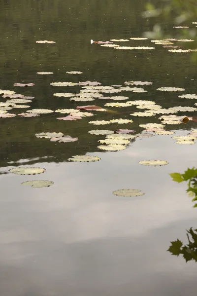 Liggande sjön — Stockfoto