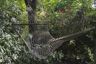 Bahçedeki hamak
