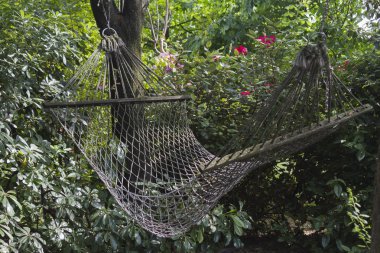 Bahçedeki hamak