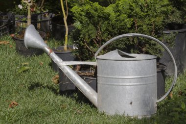 Bahçedeki su bidonu