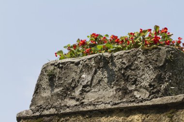 Yaz aylarında Bahçe