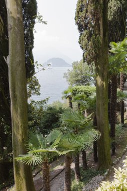 Yaz aylarında Bahçe