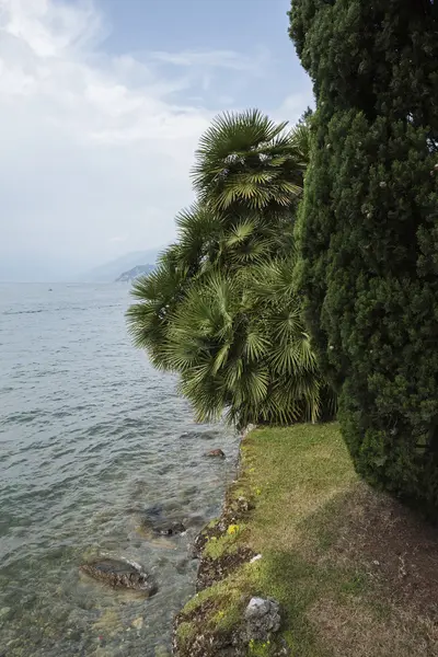 Fuga do lago — Fotografia de Stock