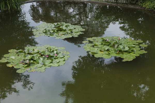 Paisaje lago — Foto de Stock