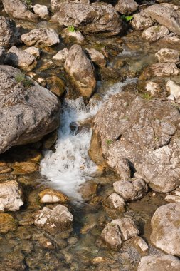 akış ve şelale orman