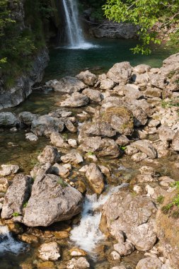 akış ve şelale orman