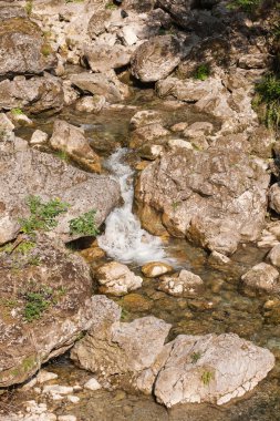 akış ve şelale orman