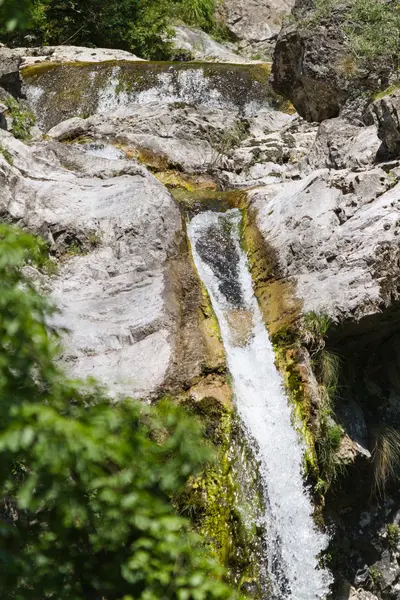Stream en waterval in het bos — Stockfoto