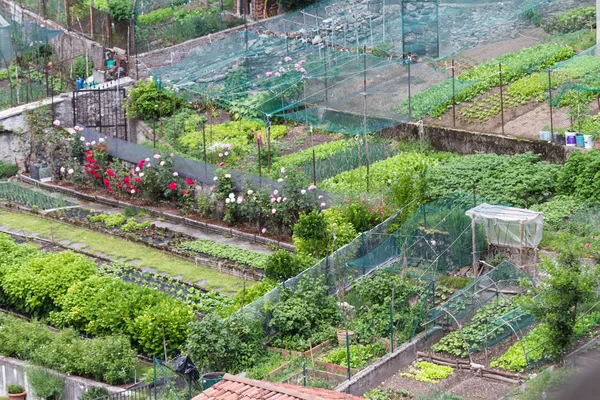 Ogród warzywny w górach — Zdjęcie stockowe