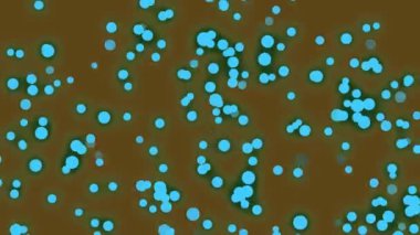 Yale Arkaplanında Pembe Yıldızlı Yıldız Parçacığı Hareketi