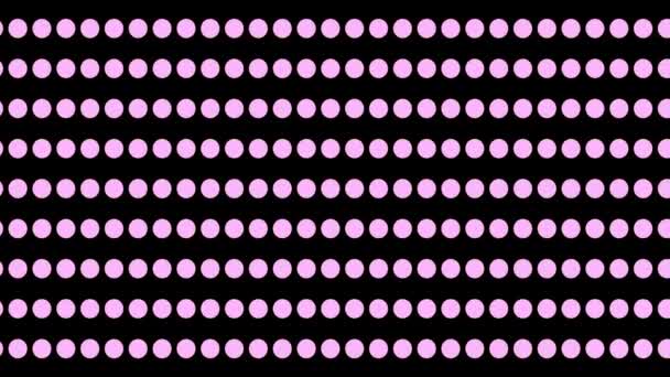 サークルパターン背景固体黒画面上のピンクの円 — ストック動画