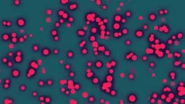 Yale Arkaplanında Pembe Yıldızlı Yıldız Parçacığı Hareketi