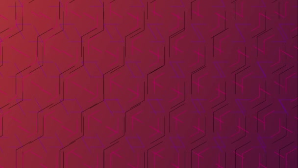 赤の長方形の複雑なパターンの背景の色 — ストック動画