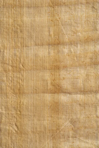 Papyrus paper texture — Stock Photo, Image