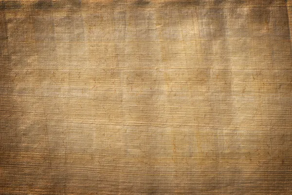 Papyrus paper texture — Stock Photo, Image