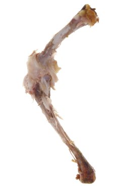 tavuk bacak kemikleri üzerinde beyaz izole