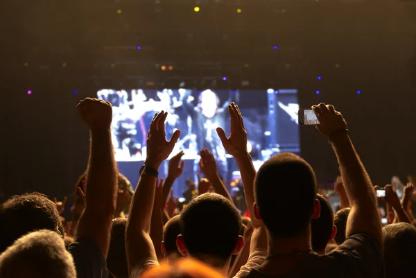 Konser Kalabalığı