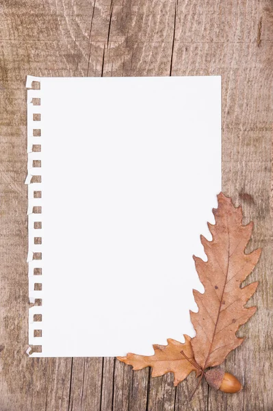 Blatt Papier und Herbstblätter auf Holzgrund — Stockfoto