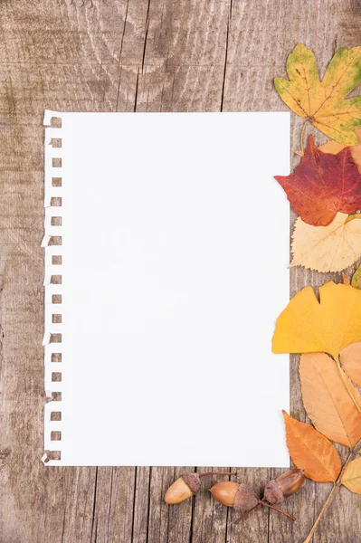 List papíru a podzimní listí na dřevěné pozadí Royalty Free Stock Fotografie