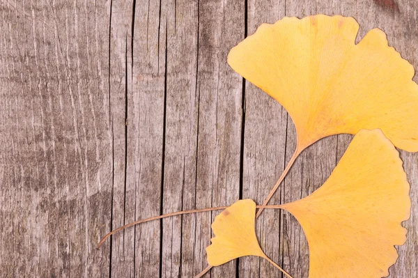 Herbst Hintergrund der Blätter über hölzerne Oberfläche Stockbild