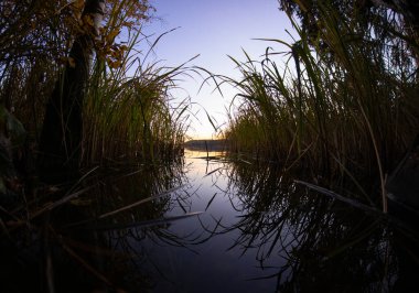 Akşamları gölette sakin bir liman, sazlıklar arasında tekne gezisi için sakin bir akşam.