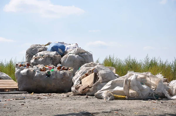 Güneşli bir günde çöp sahasında çeşitli geri dönüşümlü çöp torbaları.