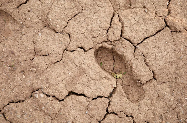 a footprint on the cracked dry earth ground