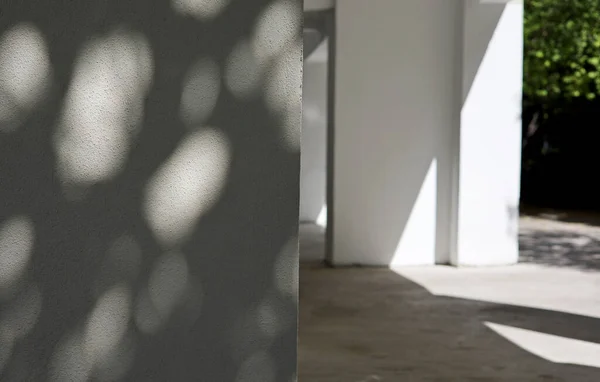 tree shadows on a white concrete wall of a house