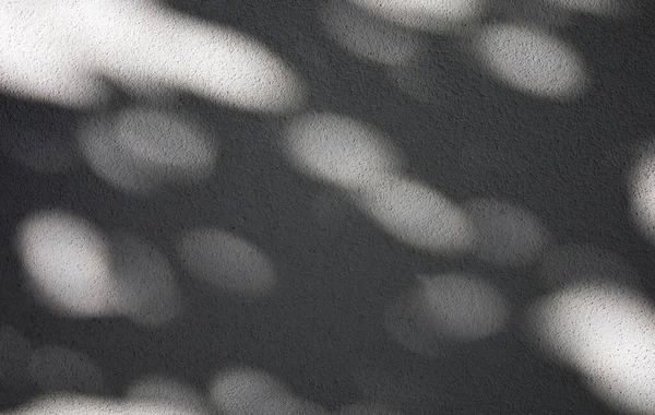 tree shadows on a white concrete wall of a house