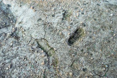 Bahçe toprağı kuru ve çatlamış ama bir adamın ayak izleri görünür durumda. Bokeh etkisi. Bir sürü kopyalama alanı var