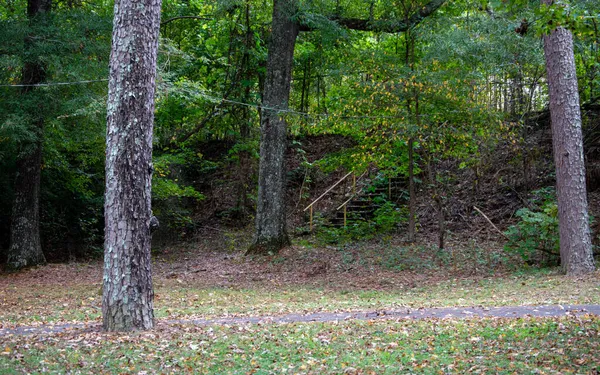 Arkansas Parkında Bir Patika Güzel Bir Yürüyüş Yolu Oluşturur Arka — Stok fotoğraf