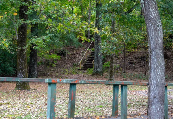 Ormanlık Alandaki Merdivenler Arkansas Güzel Parkında Huzur Ahenk Hissi Veriyor — Stok fotoğraf