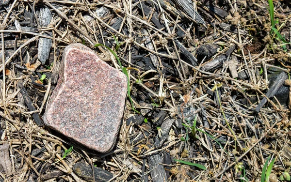 Una Roca Plana Casi Cuadrada Asienta Suelo Macizo Flores Abandonado — Foto de Stock