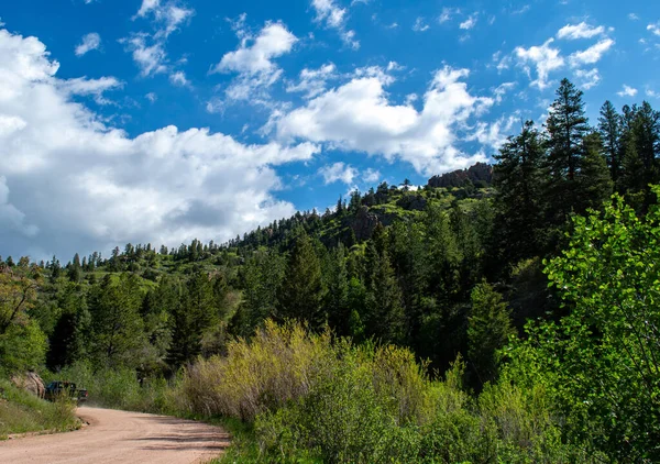 Eine Reizende Landschaft Colorado Mit Wunderschönen Sattgrünen Bäumen Blauem Himmel — Stockfoto